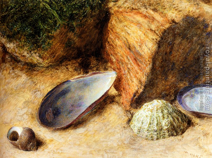 William Henry Hunt : Still Life With Sea Shells On A Mossy Bank